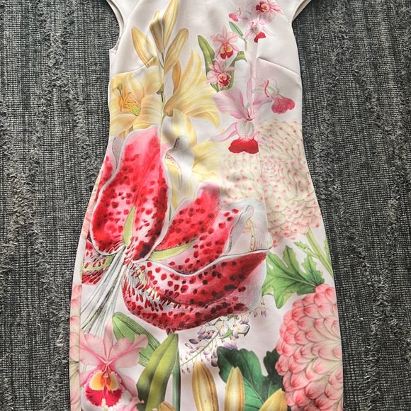 Ted baker Dress, size 1 - Picture 5 of 6